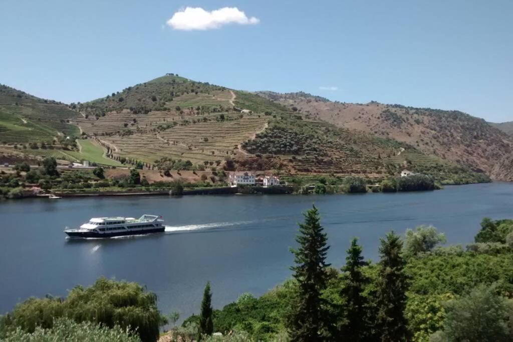 Casa Dos Vinhais - Douro Valley Coleja Ngoại thất bức ảnh